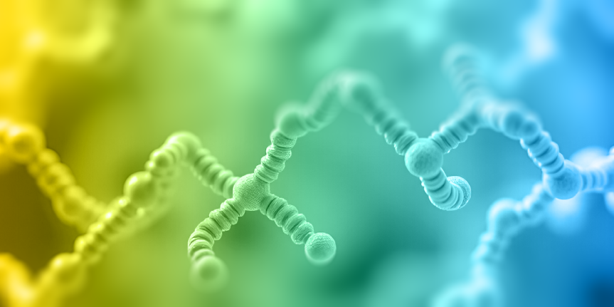 What determines the structural stability of bioactive&nbsp;peptides?